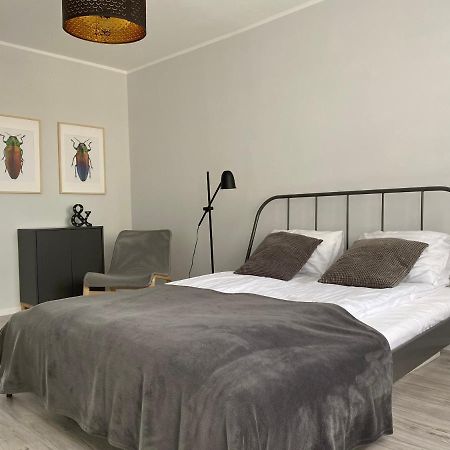 Apartament Kilinskiego 9 Swidnica  Bagian luar foto