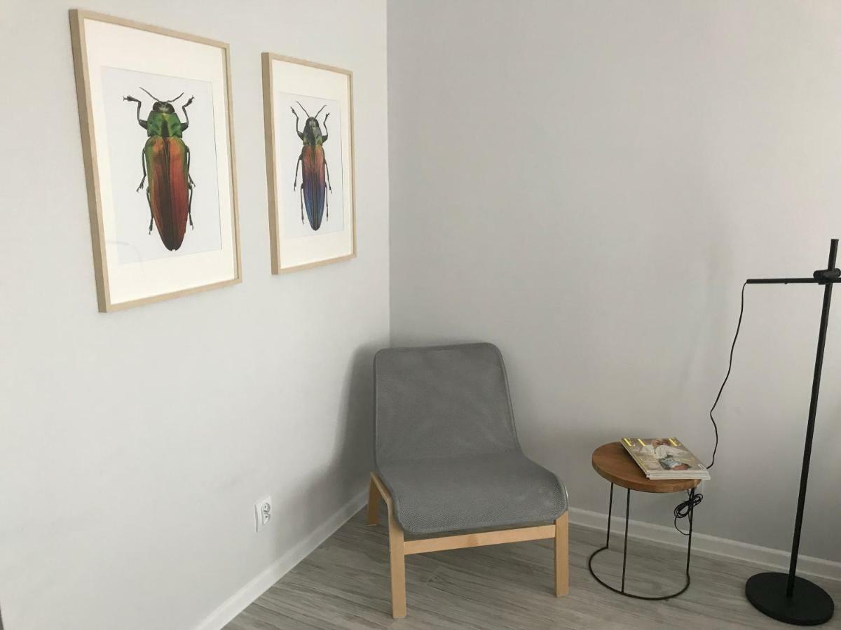 Apartament Kilinskiego 9 Swidnica  Bagian luar foto